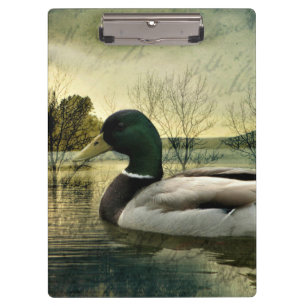Vintage Mallard Duck Weathered Postcard Clipboard