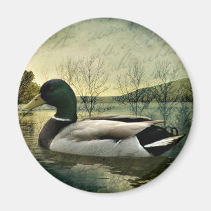 Vintage Mallard Duck Weathered Postcard Magnet