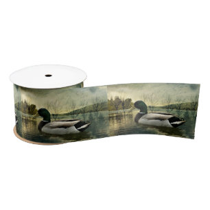 Vintage Mallard Duck Weathered Postcard Satin Ribbon