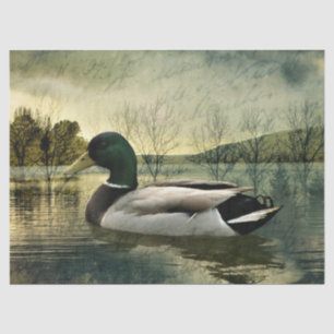 Vintage Mallard Duck Weathered Postcard Tissue Paper