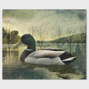 Vintage Mallard Duck Weathered Postcard Wrapping Paper