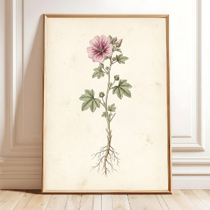 Vintage Mallow Botanical Gallery Wall Art Print