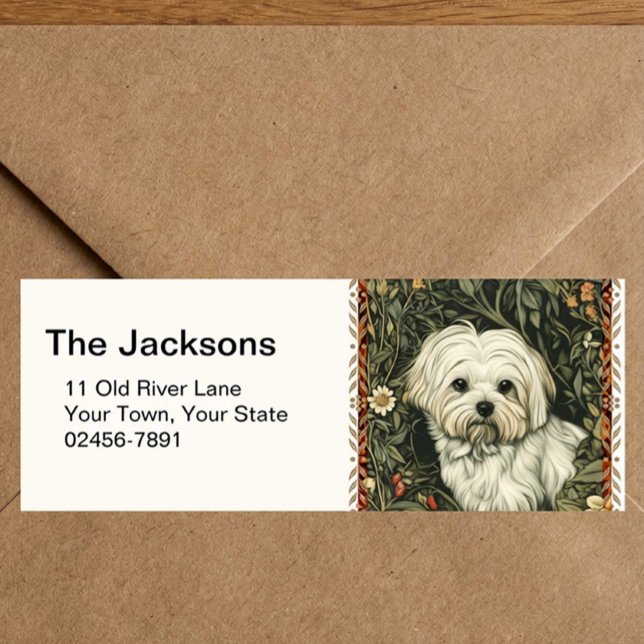 Vintage Maltese or Bichon Frise puppy Dog (Creator Uploaded)