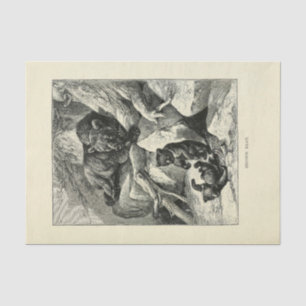 Vintage Mama Bear Ephemera Decoupage Tissue Paper