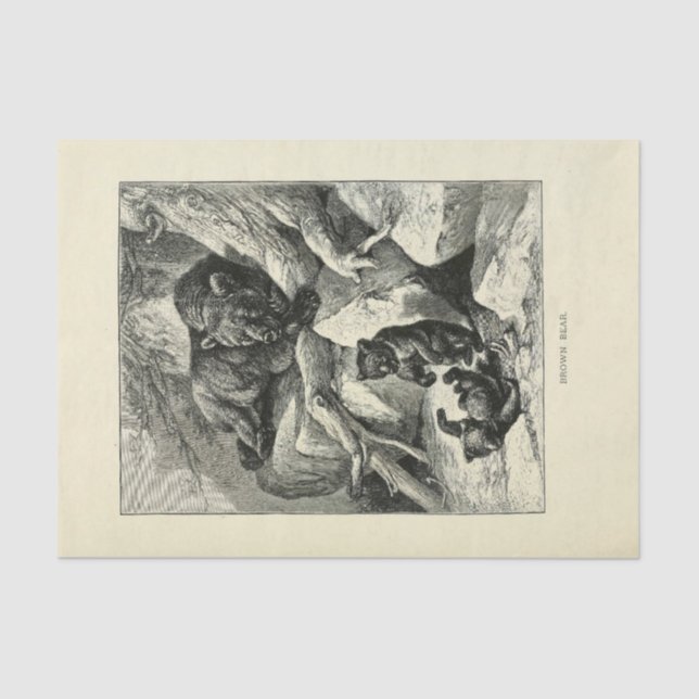 Vintage Mama Bear Ephemera Decoupage Tissue Paper (Front)