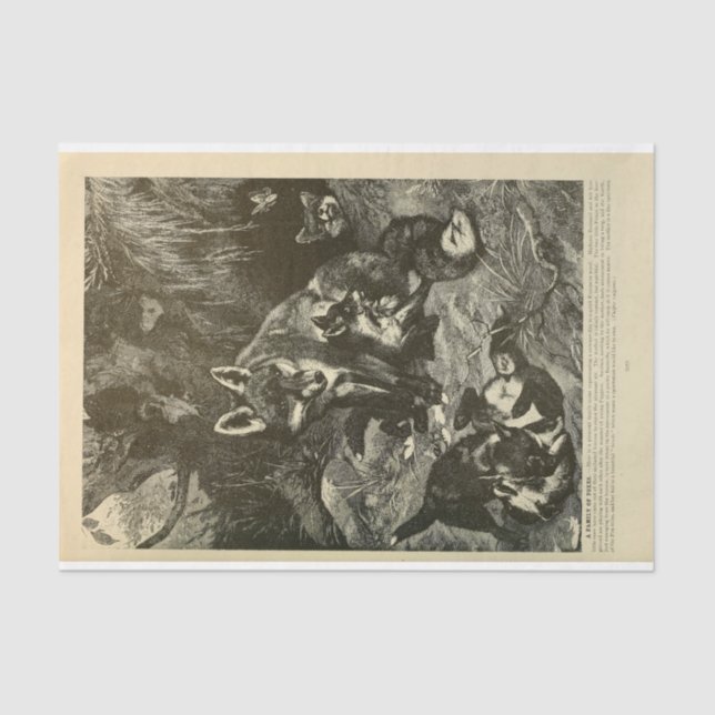 Vintage Mama Fox Ephemera Decoupage Tissue Paper (Front)