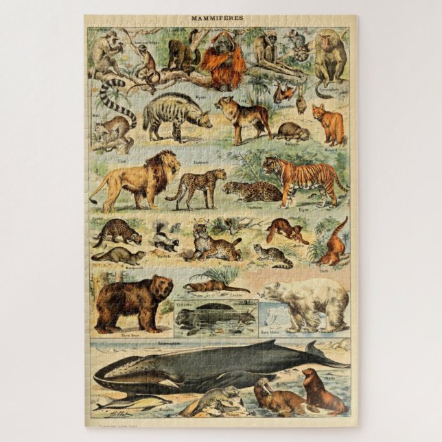 Vintage Mammals Animals Old Illustration Art Jigsaw Puzzle (Vertical)
