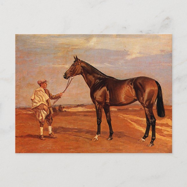 Vintage Man With Brown Race Horse Postcard (Front)