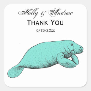 Vintage Manatee Drawing Aqua Square Sticker