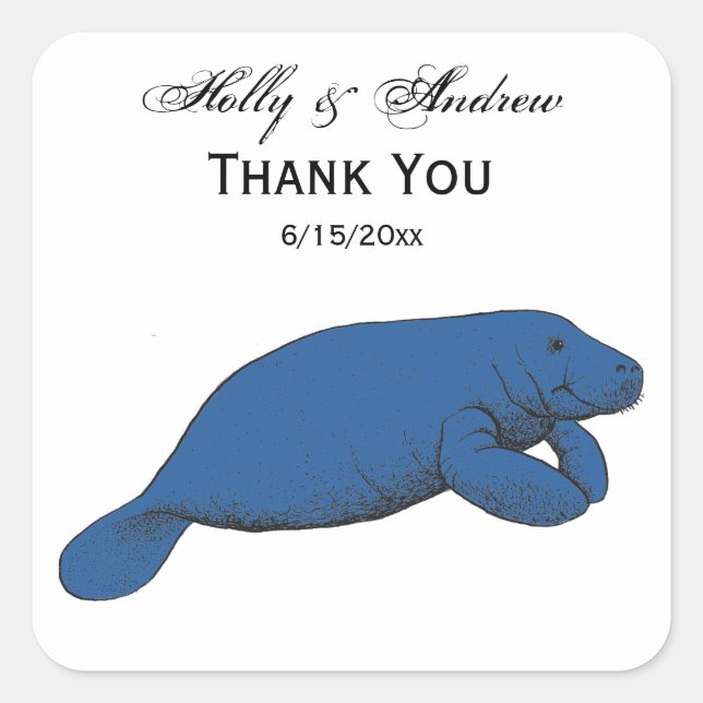 Vintage Manatee Drawing Blue Square Sticker (Front)