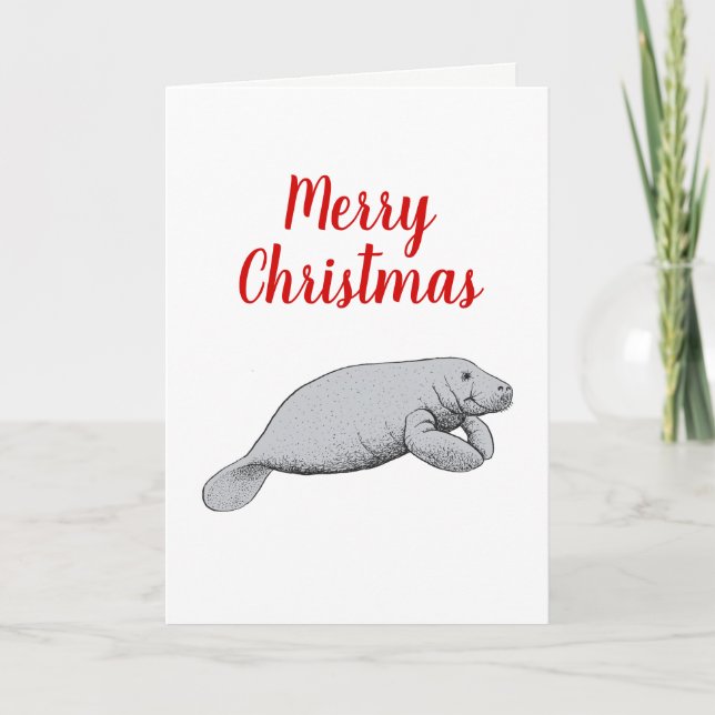 Vintage Manatee Drawing Christmas Xmas Holiday Card (Front)