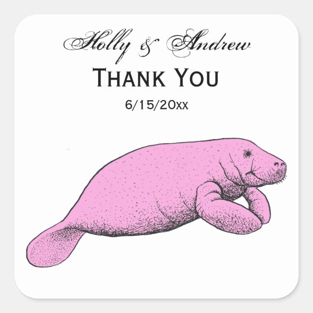 Vintage Manatee Drawing Pink Square Sticker (Front)