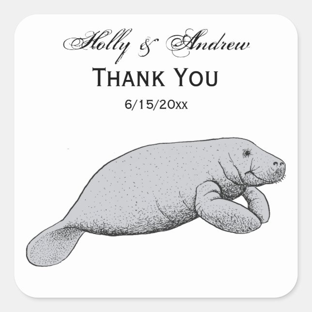 Vintage Manatee Drawing Square Sticker (Front)