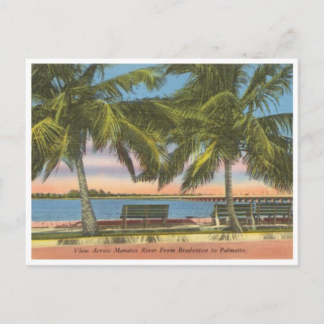 Vintage Manatee River Bradenton Florida Postcard (Front)