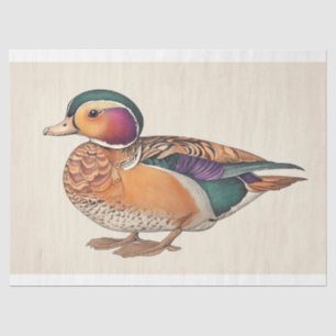 Vintage Mandarin Duck Ornithology Decoupage Print Tissue Paper