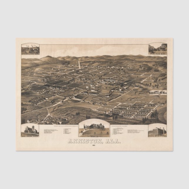 Vintage Map of Anniston, Alabama (1887) Tissue Paper (Front)