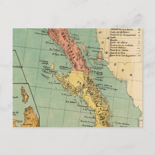 Vintage Map of Baja California (1899) Postcard (Front)