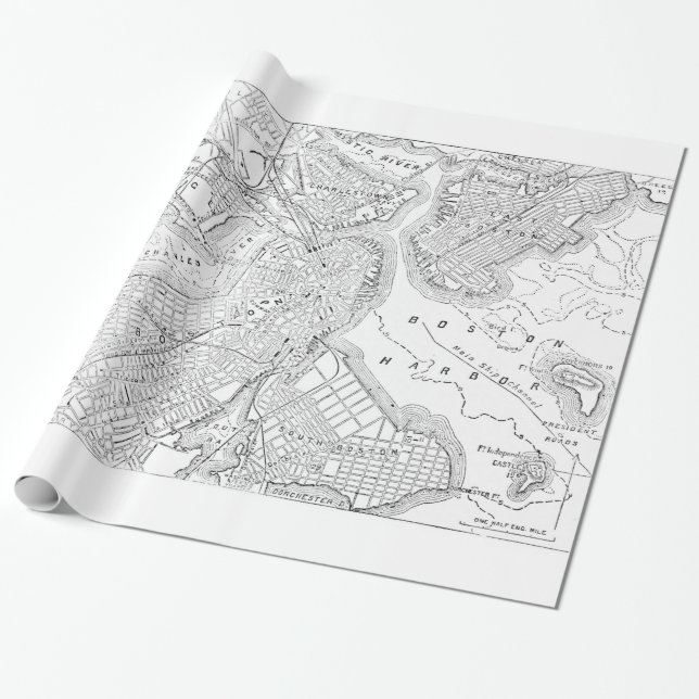 Vintage Map of Boston (1878) Wrapping Paper (Unrolled)