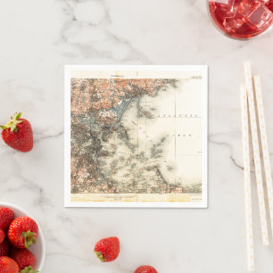 Vintage Map of Boston Napkin