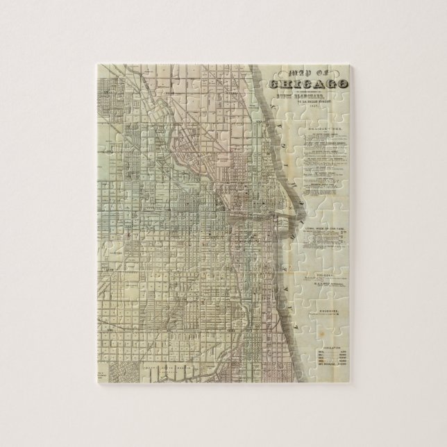 Vintage Map of Chicago (1857) Jigsaw Puzzle (Vertical)