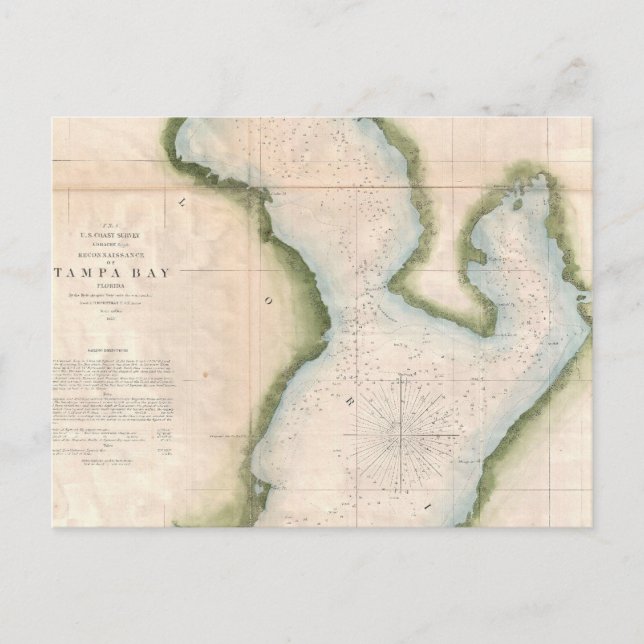 Vintage Map of Coastal Tampa Bay (1855) Postcard (Front)
