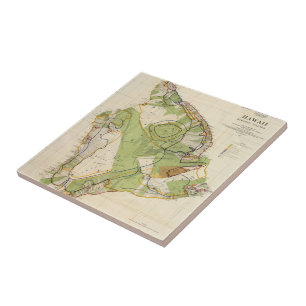 Vintage Map of Hawaii Island (1906) Tile
