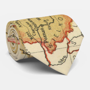 Vintage Map of Poland (1921) Tie