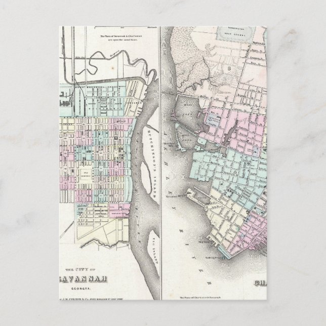 Vintage Map of Savannah and Charleston (1855) Postcard (Front)