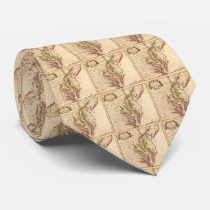 Vintage Map of The Chesapeake Bay (1719) Tie
