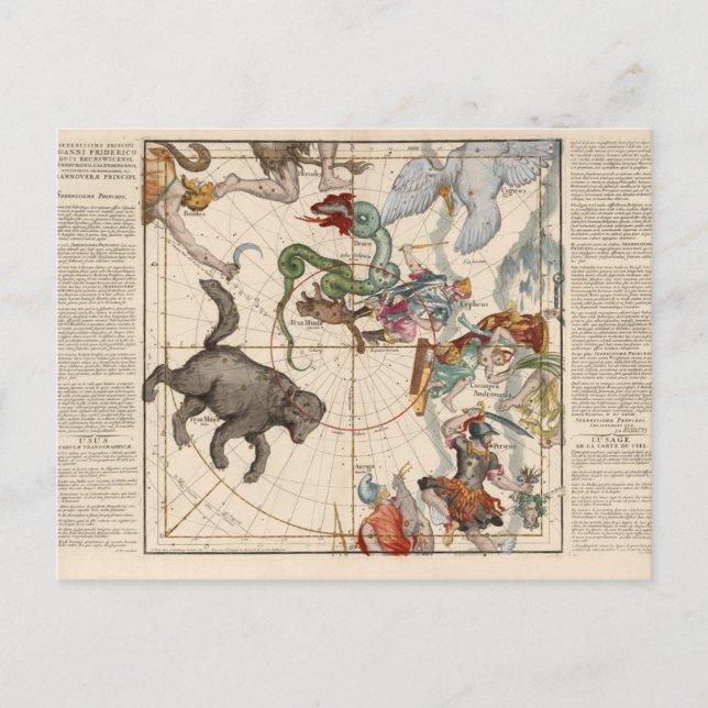 Vintage Map of the North Pole Postcard (Front)
