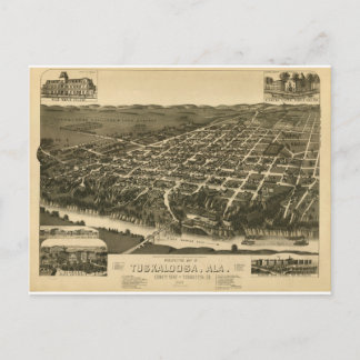 Vintage Map of Tuskaloosa, Alabama - 1887 Postcard