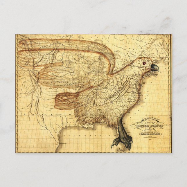 Vintage map representing America as an Eagle Postcard (Front)