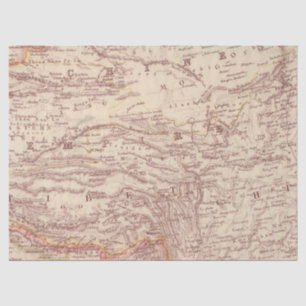Vintage Map Series Design 3 Tissue Paper