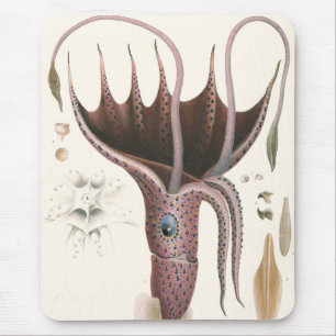Vintage Marine Life Animals, Umbrella Squid Mouse Mat