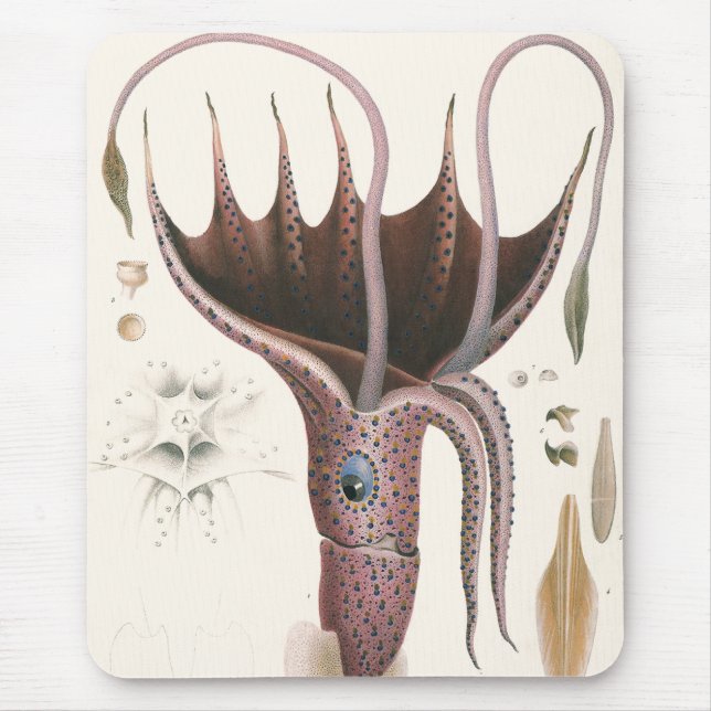 Vintage Marine Life Animals, Umbrella Squid Mouse Mat (Front)
