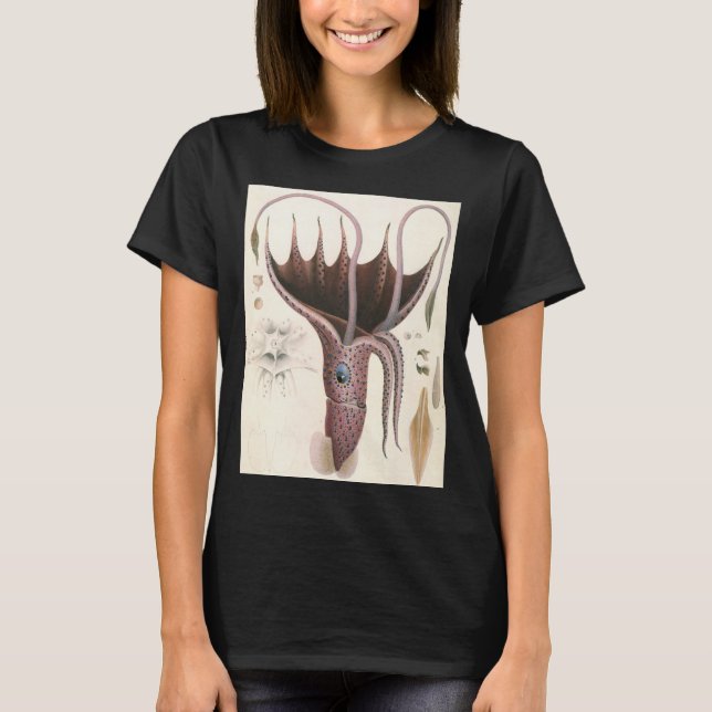 Vintage Marine Life Animals, Umbrella Squid T-Shirt (Front)