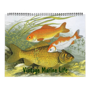 Vintage Marine Life Fish, Oceans and Rivers Calendar