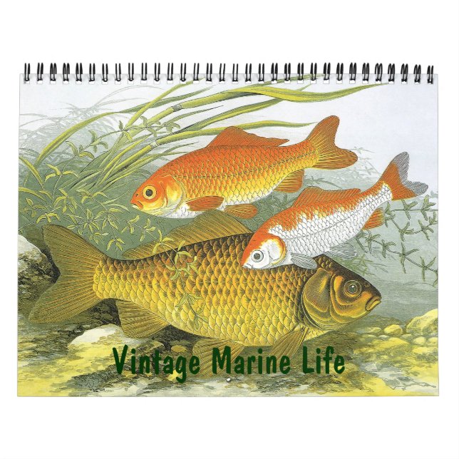 Vintage Marine Life Fish, Oceans and Rivers Calendar (Cover)