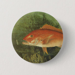 Vintage Marine Life, Red Snapper Fish in the Ocean 6 Cm Round Badge