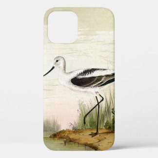 Vintage Marine Life Shorebirds, Avocet Birds iPhone 12 Case