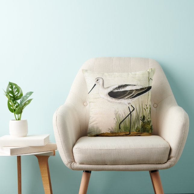 Vintage Marine Life Shorebirds, Avocet Birds Cushion (Chair)