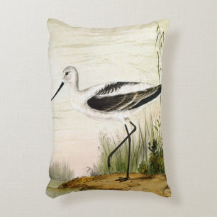 Vintage Marine Life Shorebirds, Avocet Birds Decorative Cushion