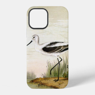 Vintage Marine Life Shorebirds, Avocet Birds iPhone 12 Case