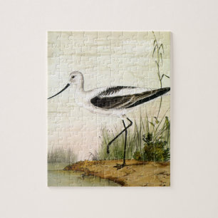 Vintage Marine Life Shorebirds, Avocet Birds Jigsaw Puzzle