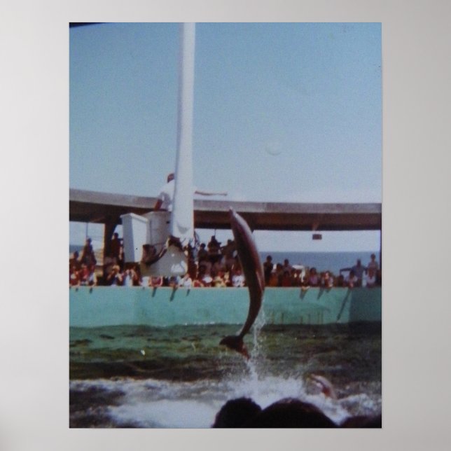 VINTAGE MARINELAND POSTER (Front)