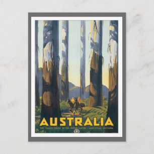 Vintage Marysville Victoria Australia Postcard