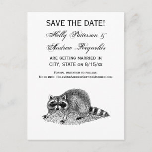 Vintage Masked Racoon Announcement Postcard