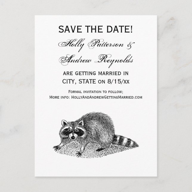 Vintage Masked Racoon Announcement Postcard (Front)