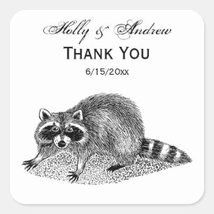 Vintage Masked Racoon Square Sticker