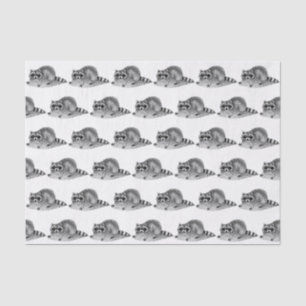 Vintage Masked Racoon Tissue Paper